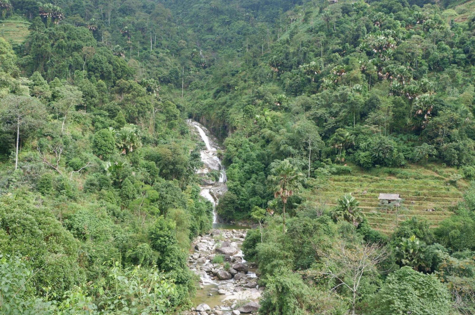 Bikki'S Jungle Homestay Ha Giang Kültér fotó