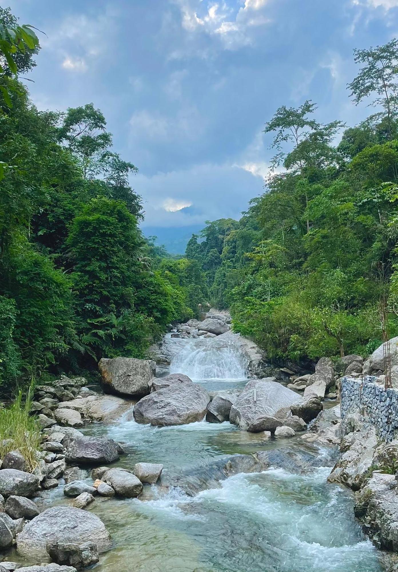 Bikki'S Jungle Homestay Ha Giang Kültér fotó