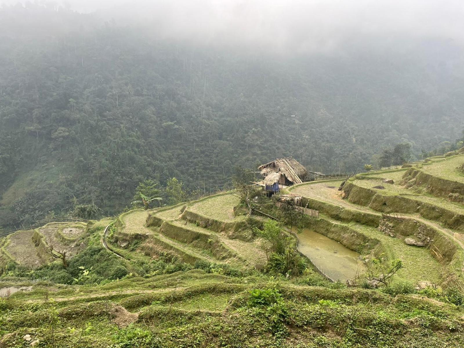 Bikki'S Jungle Homestay Ha Giang Kültér fotó