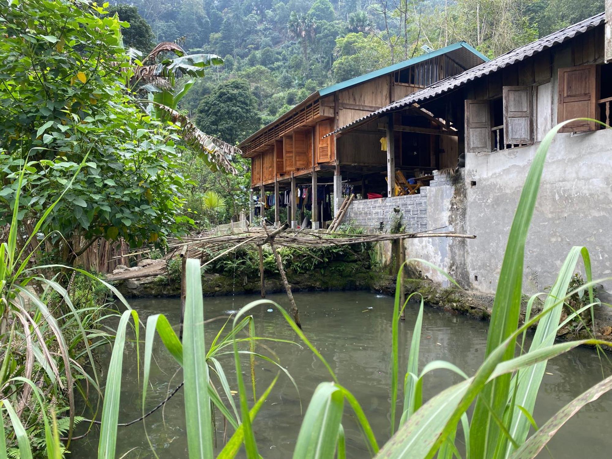 Bikki'S Jungle Homestay Ha Giang Kültér fotó