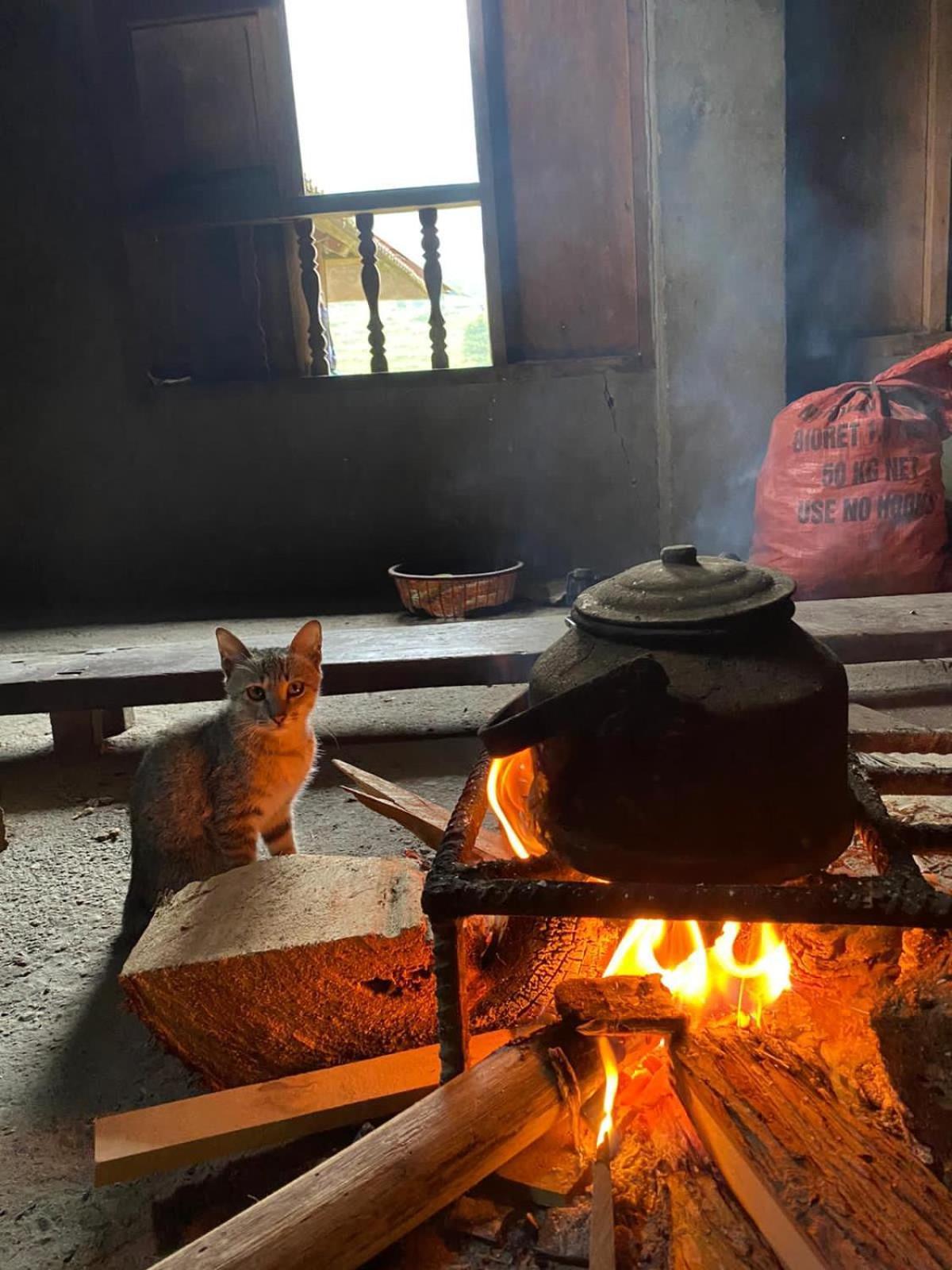 Bikki'S Jungle Homestay Ha Giang Kültér fotó