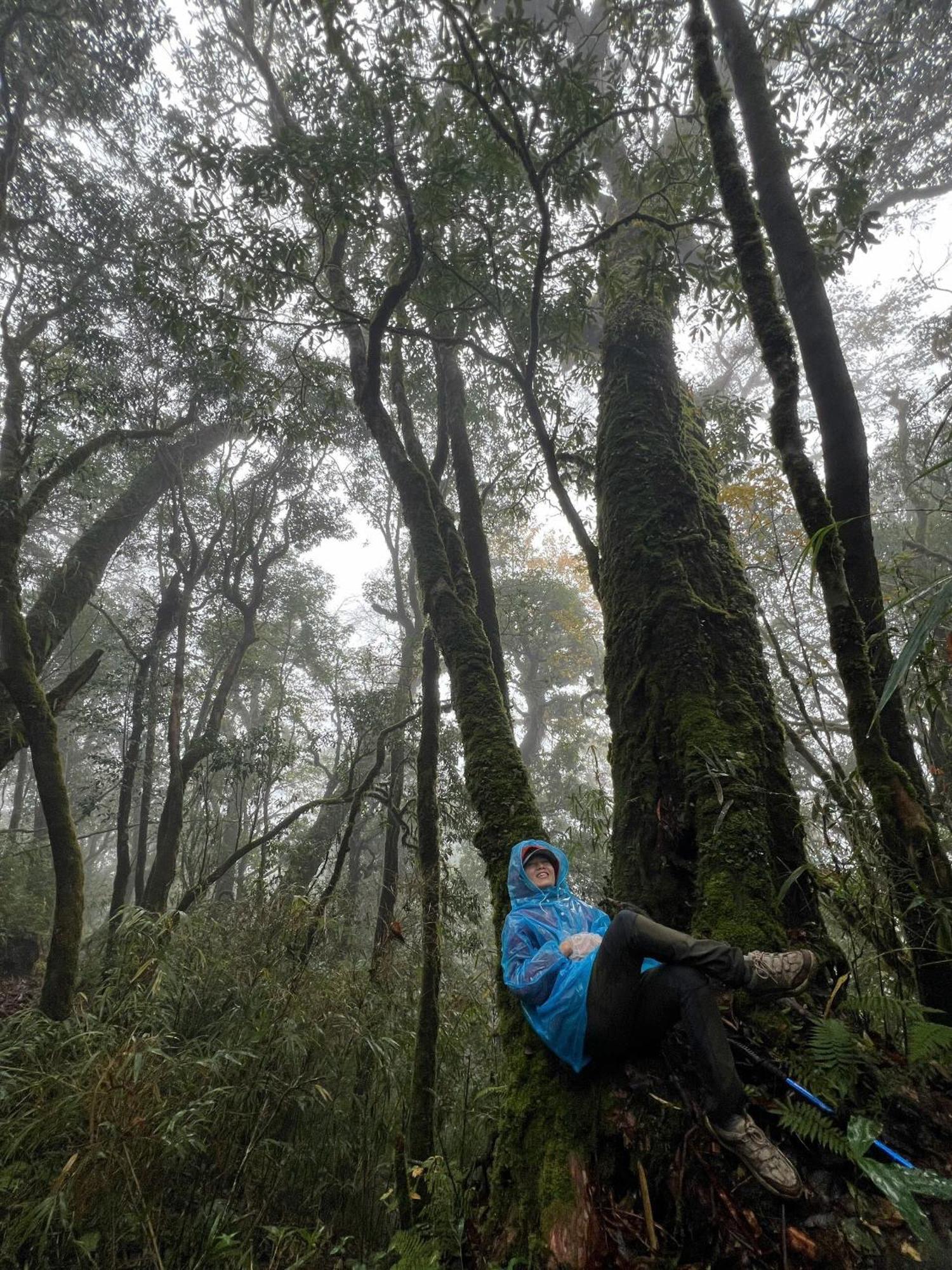 Bikki'S Jungle Homestay Ha Giang Kültér fotó